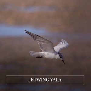 Jetwing Safari - Bundala Safari